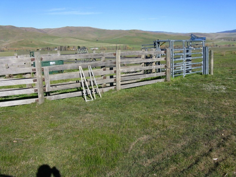 1199 Omeo Valley Road, Omeo VIC 3898