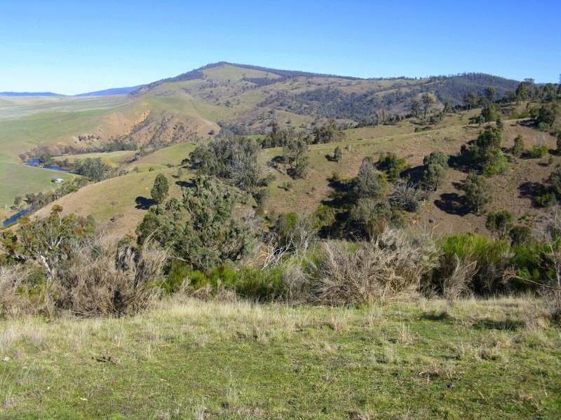 1199 Omeo Valley Road, Omeo VIC 3898