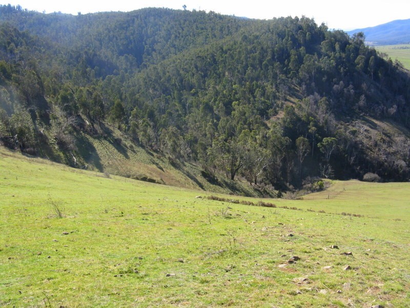 1199 Omeo Valley Road, Omeo VIC 3898