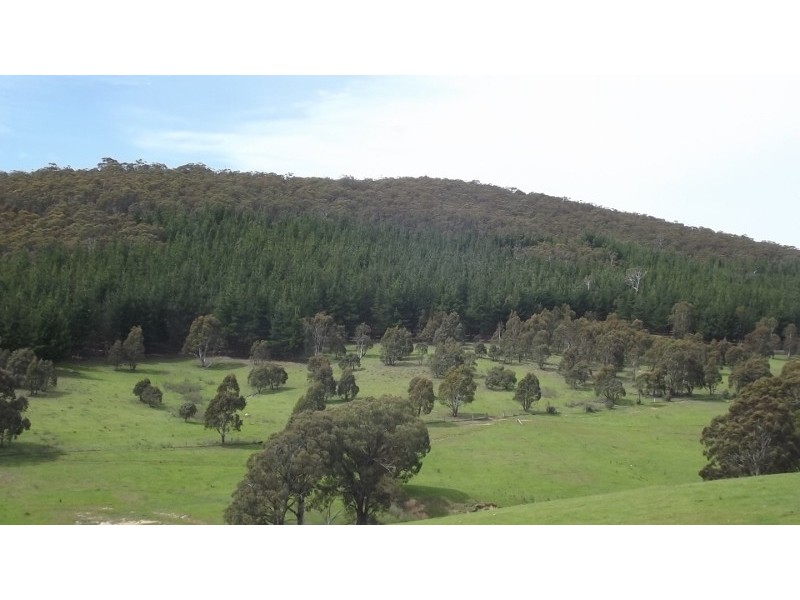 212 Kangaroo Track, Omeo VIC 3898