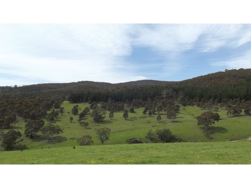 212 Kangaroo Track, Omeo VIC 3898