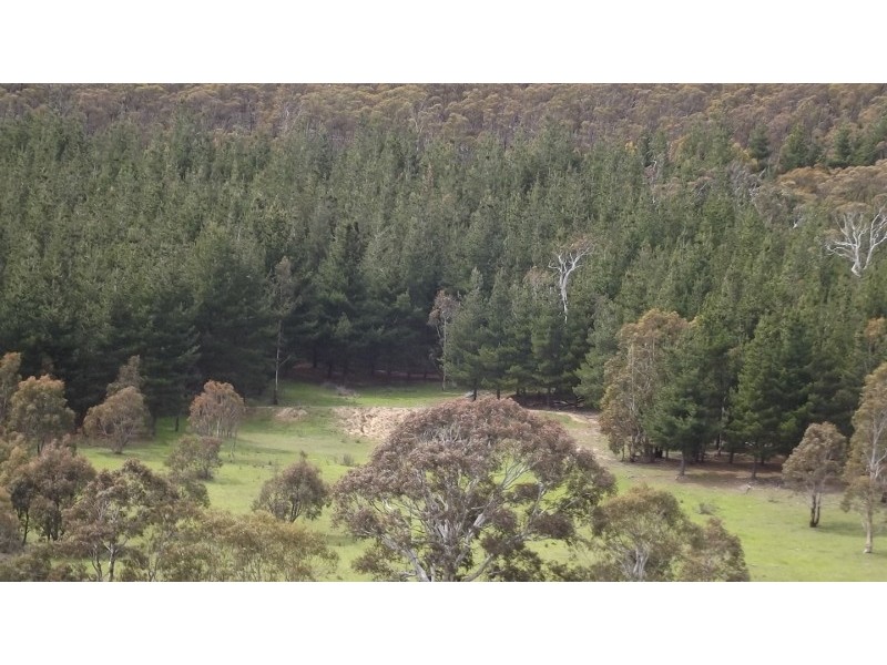 212 Kangaroo Track, Omeo VIC 3898