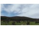 212 Kangaroo Track, Omeo VIC 3898