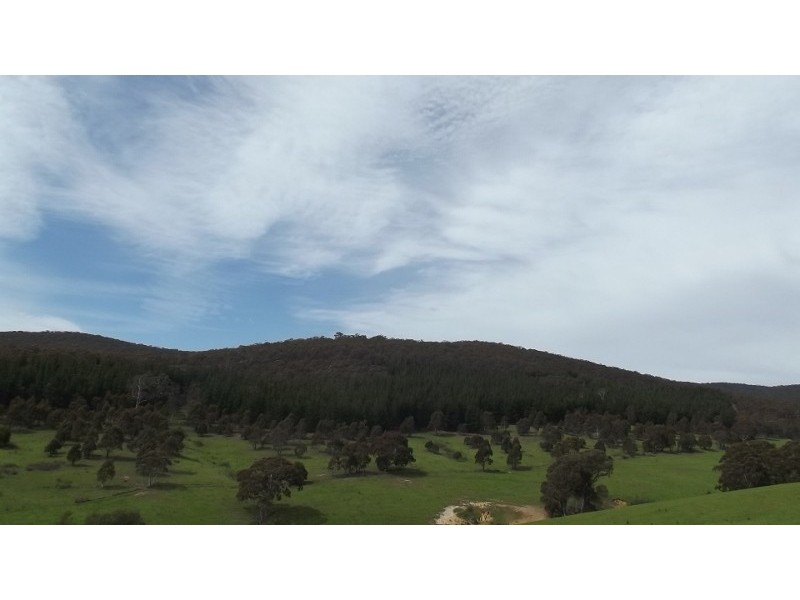 212 Kangaroo Track, Omeo VIC 3898