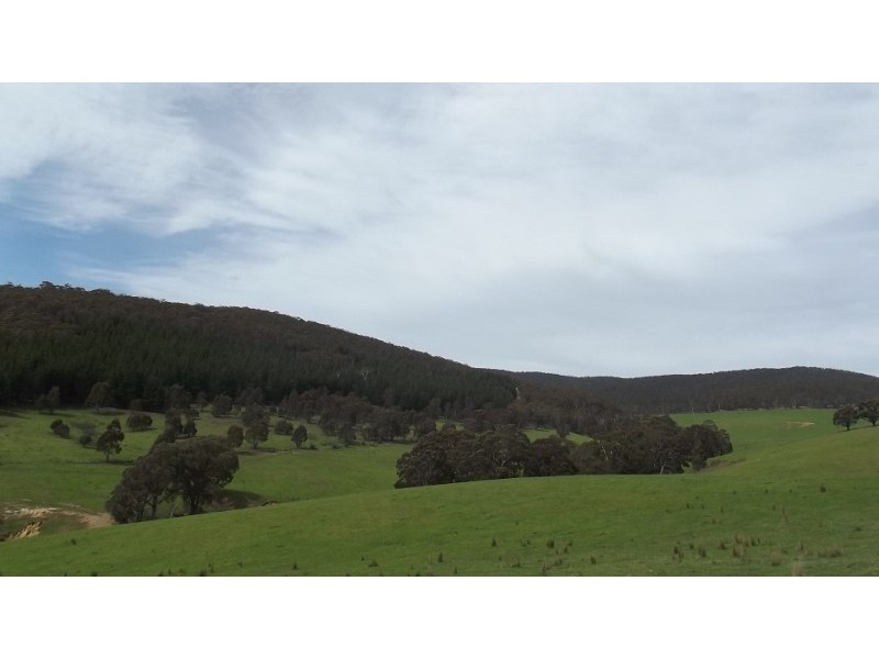 212 Kangaroo Track, Omeo VIC 3898