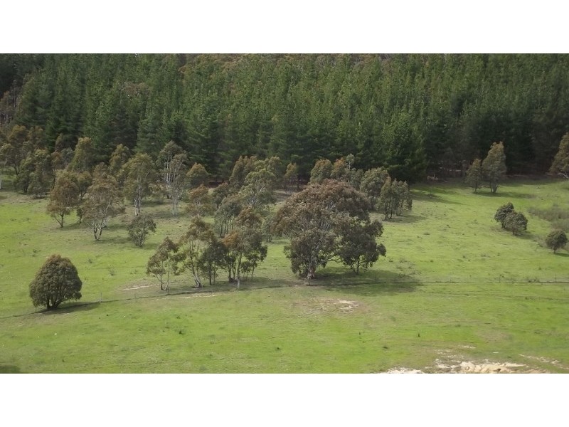 212 Kangaroo Track, Omeo VIC 3898