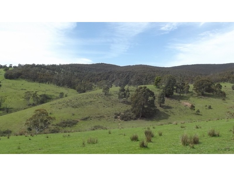 (Lot 1)  212 Kangaroo Track, Omeo VIC 3898