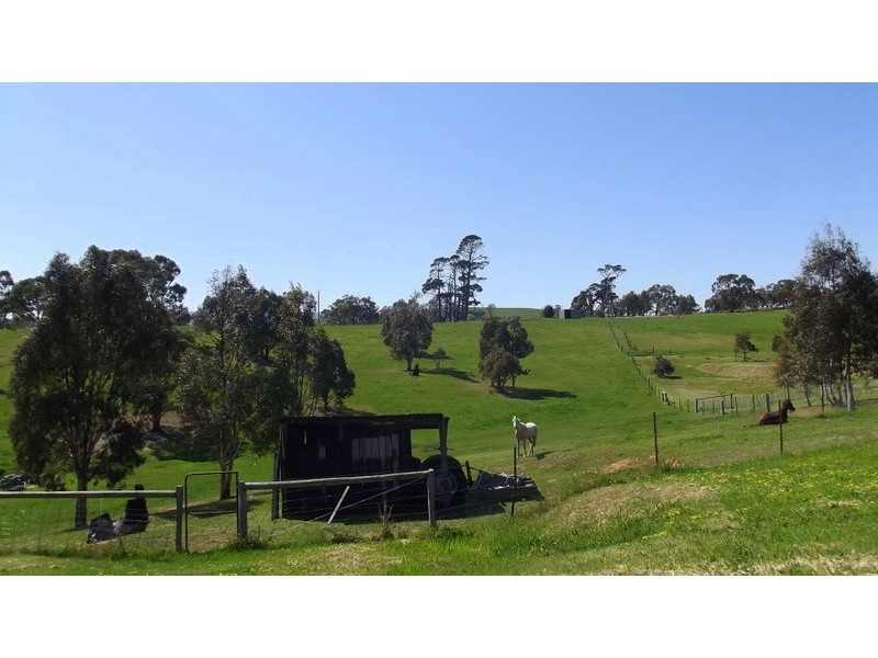 55 Day Avenue, Omeo VIC 3898
