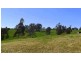 55 Day Avenue, Omeo VIC 3898