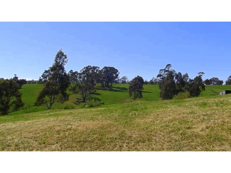 55 Day Avenue, Omeo VIC 3898