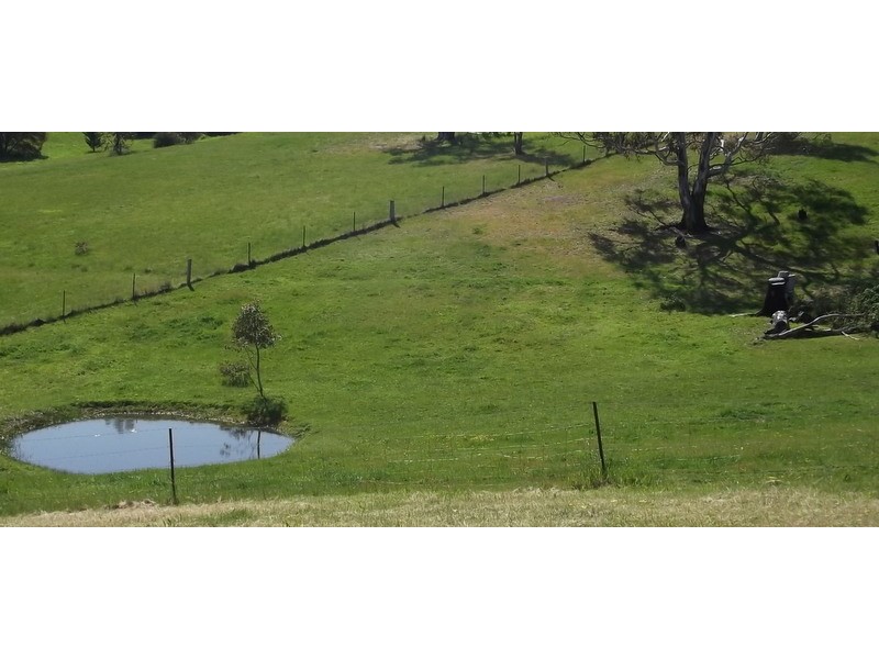 55 Day Avenue, Omeo VIC 3898