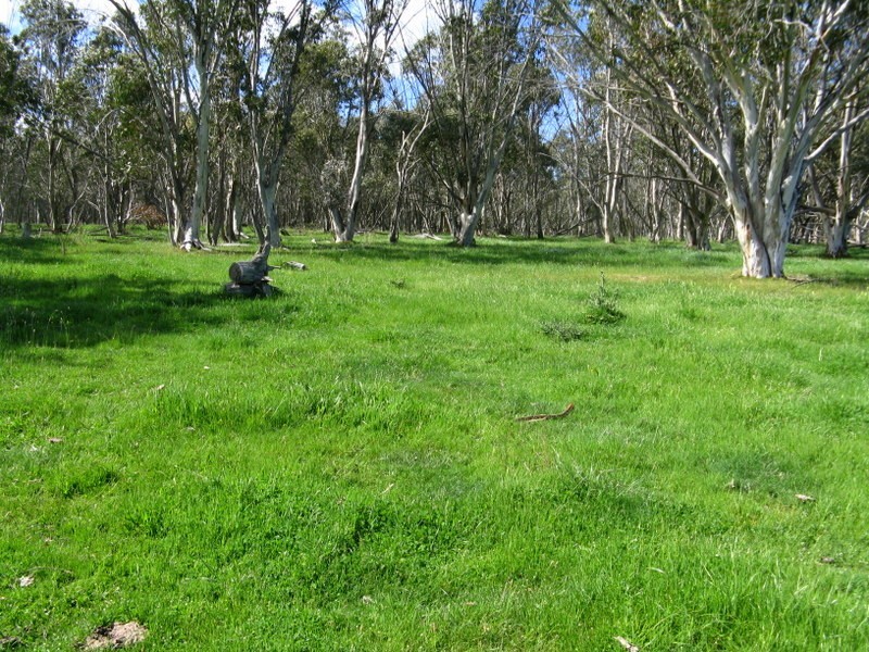 CA 16A SEC 1, Benambra VIC 3900