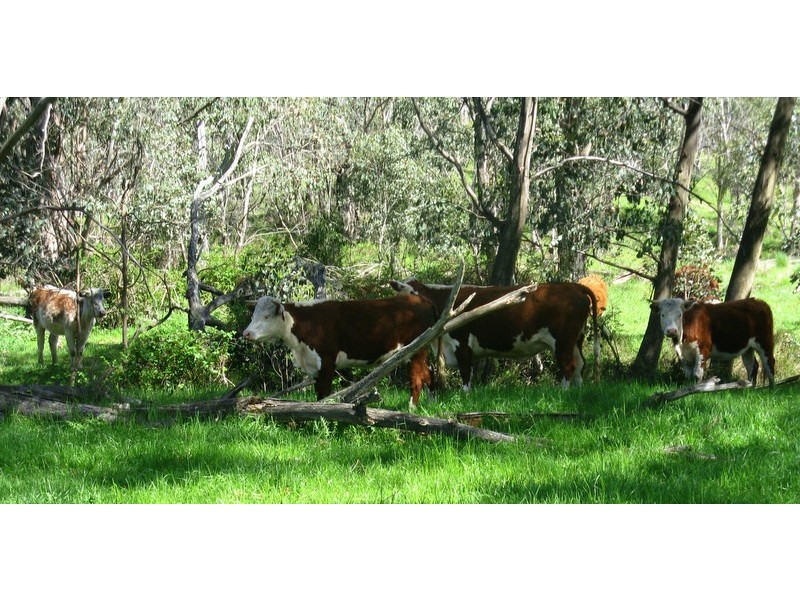 CA 16A SEC 1, Benambra VIC 3900