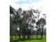 CA 16A SEC 1, Benambra VIC 3900