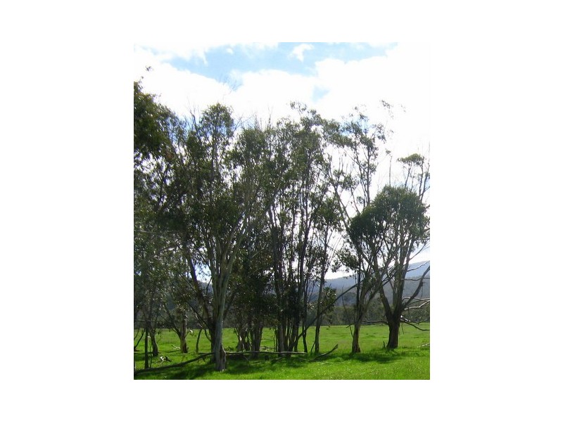 CA 16A SEC 1, Benambra VIC 3900