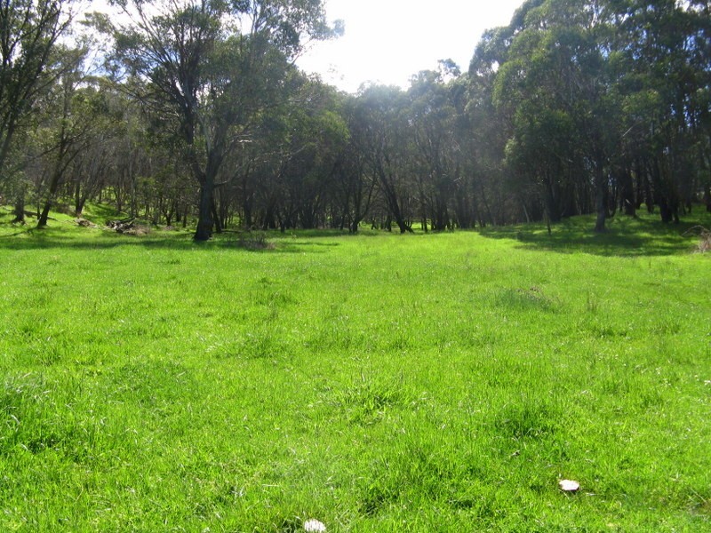 CA 16A SEC 1, Benambra VIC 3900