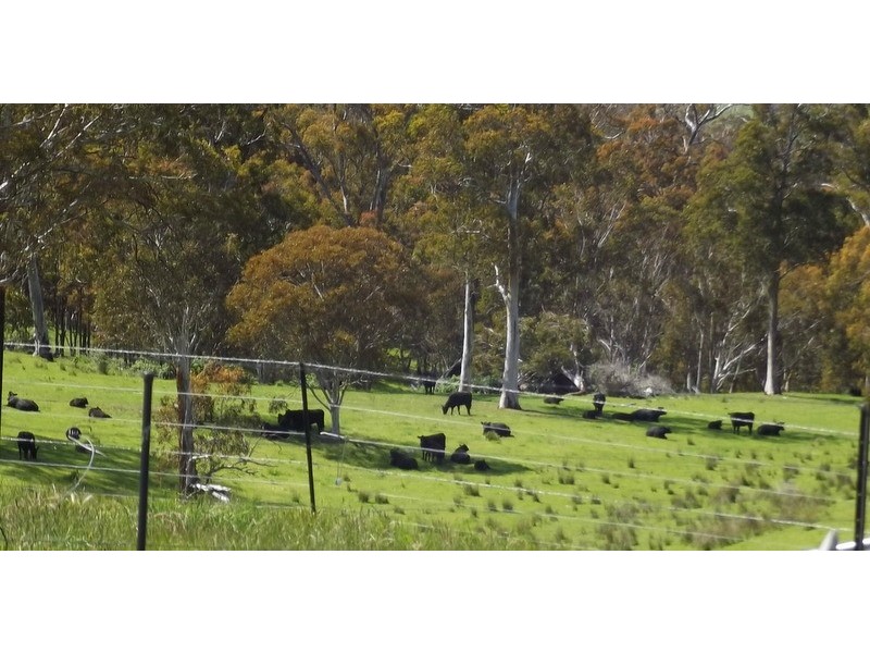 300 High Forest Road, Cobungra VIC 3898