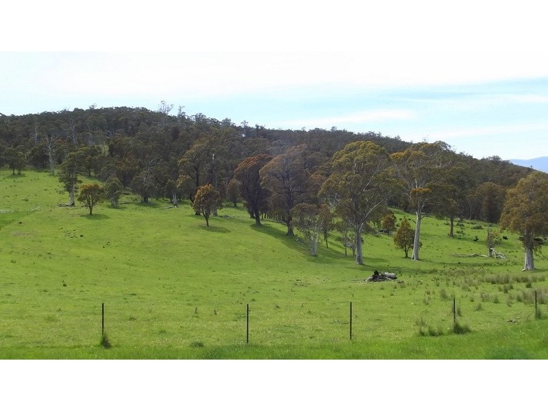 300 High Forest Road, Cobungra VIC 3898