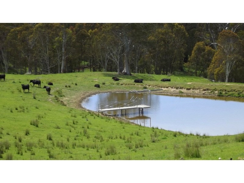 300 High Forest Road, Cobungra VIC 3898