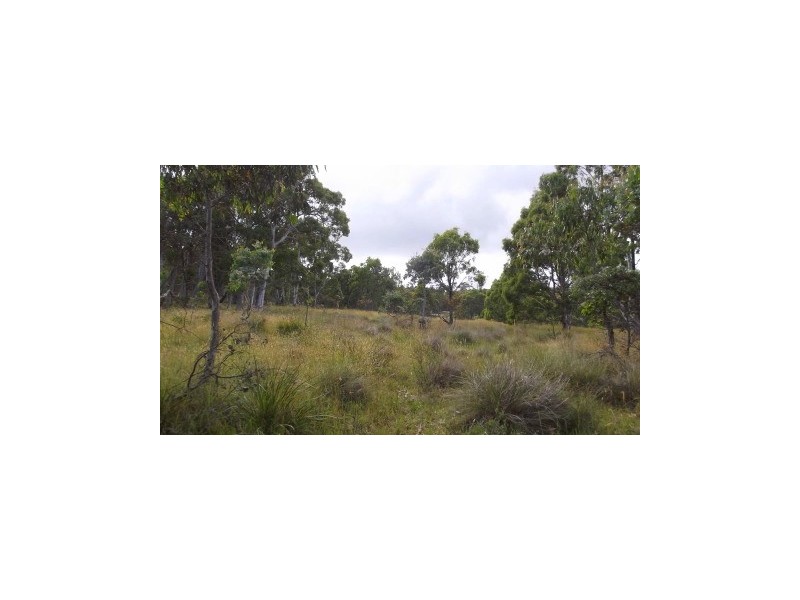 7 Highview Court, Omeo VIC 3898