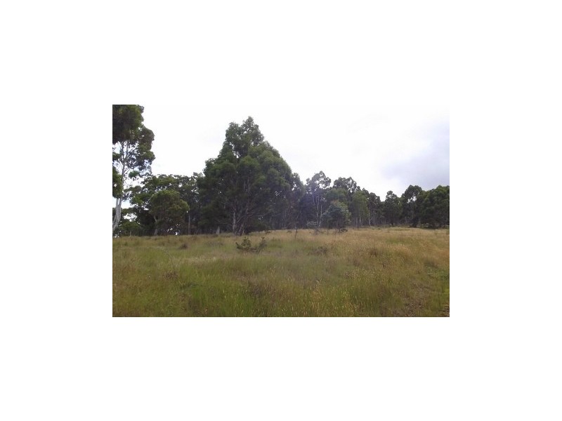 7 Highview Court, Omeo VIC 3898