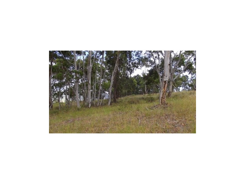 7 Highview Court, Omeo VIC 3898