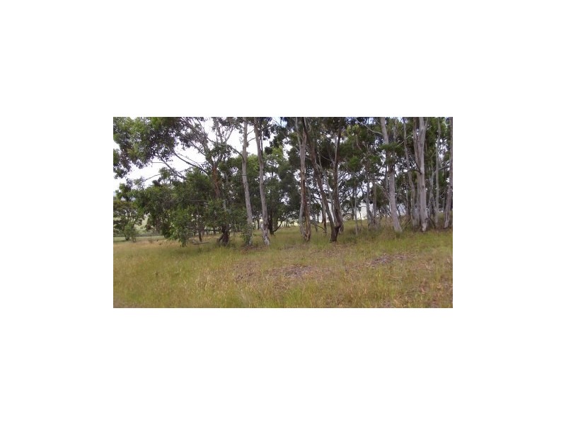 7 Highview Court, Omeo VIC 3898