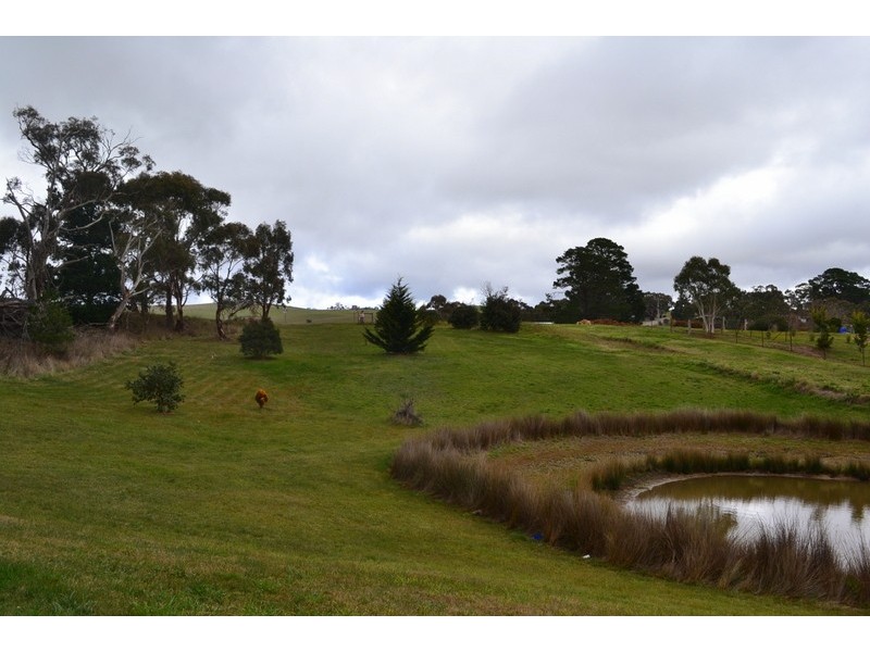 92 Sebastopol Hill Road, Omeo VIC 3898