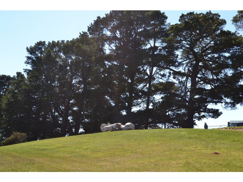 92 Sebastopol Hill Road, Omeo VIC 3898