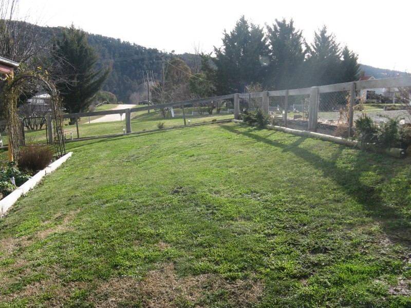 111 DAY AVENUE, Omeo VIC 3898