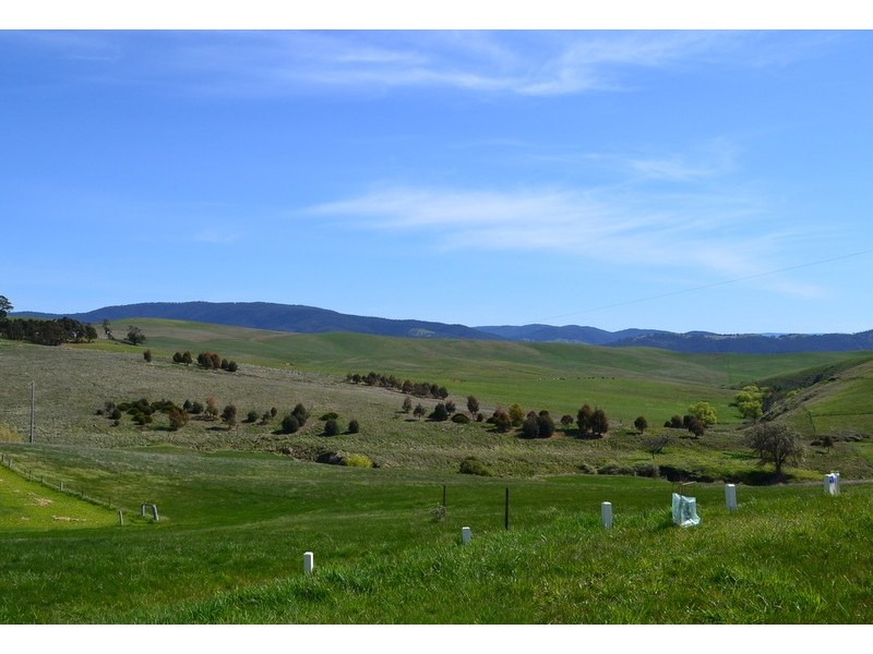 1015 Benambra Road, Hinnomunjie VIC 3898
