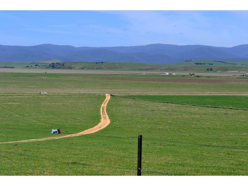 1814 Benambra Road, Benambra VIC 3900