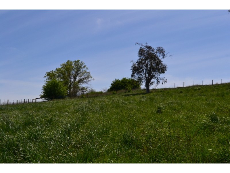 61 McFarlane Street, Benambra VIC 3900