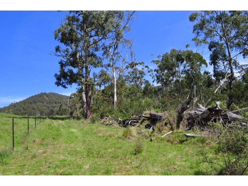 210 Tablelands Road, Benambra VIC 3900