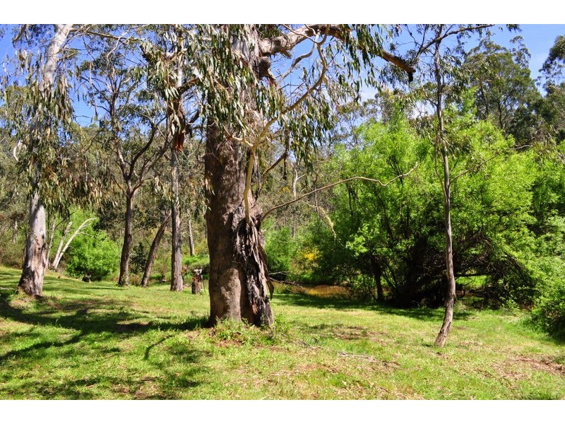 210 Tablelands Road, Benambra VIC 3900