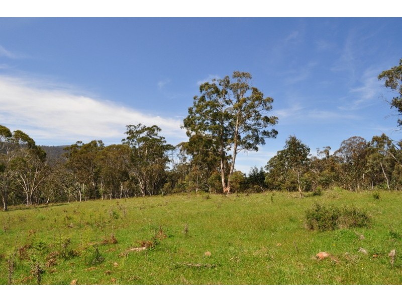 210 Tablelands Road, Benambra VIC 3900