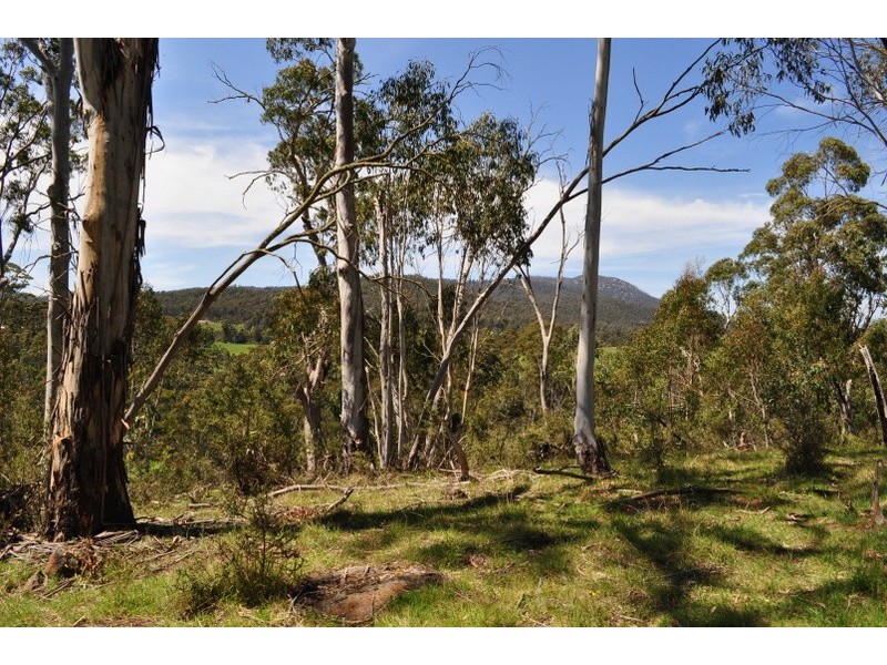 210 Tablelands Road, Benambra VIC 3900