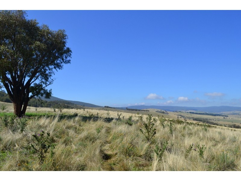 7 Leonard Drive, Omeo VIC 3898