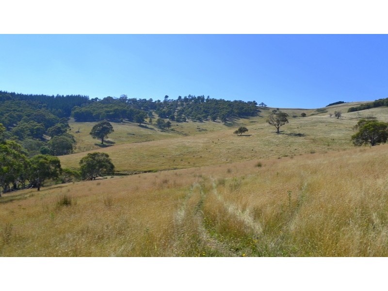 7 Leonard Drive, Omeo VIC 3898