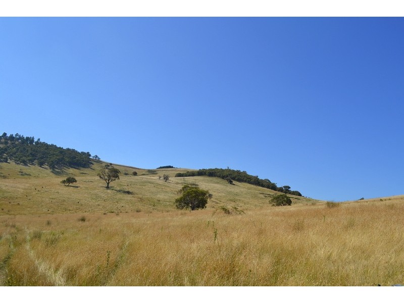 7 Leonard Drive, Omeo VIC 3898