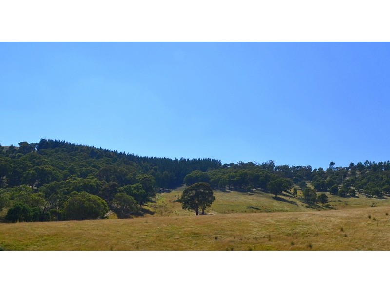 7 Leonard Drive, Omeo VIC 3898