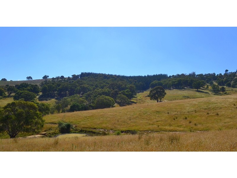 7 Leonard Drive, Omeo VIC 3898