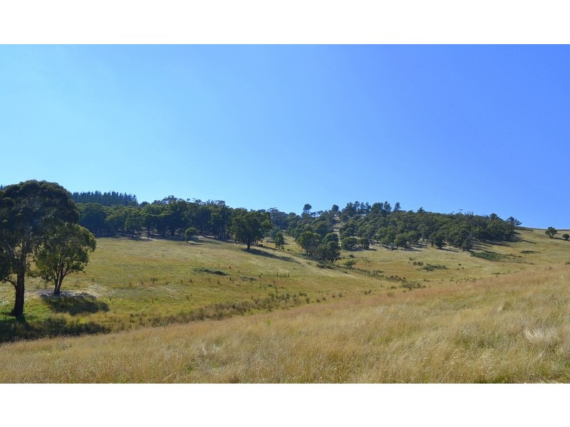 7 Leonard Drive, Omeo VIC 3898