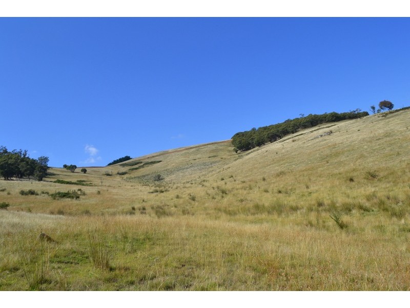 7 Leonard Drive, Omeo VIC 3898