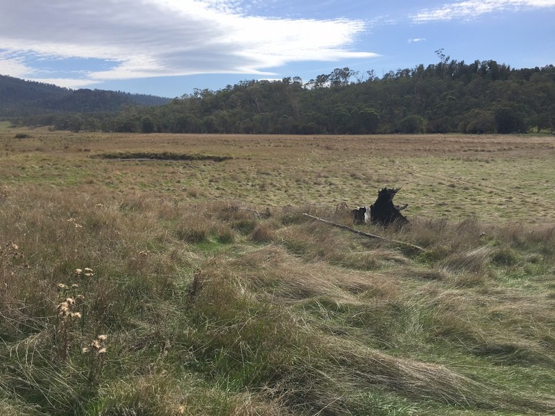 427 Heaneys Lane, Benambra VIC 3900