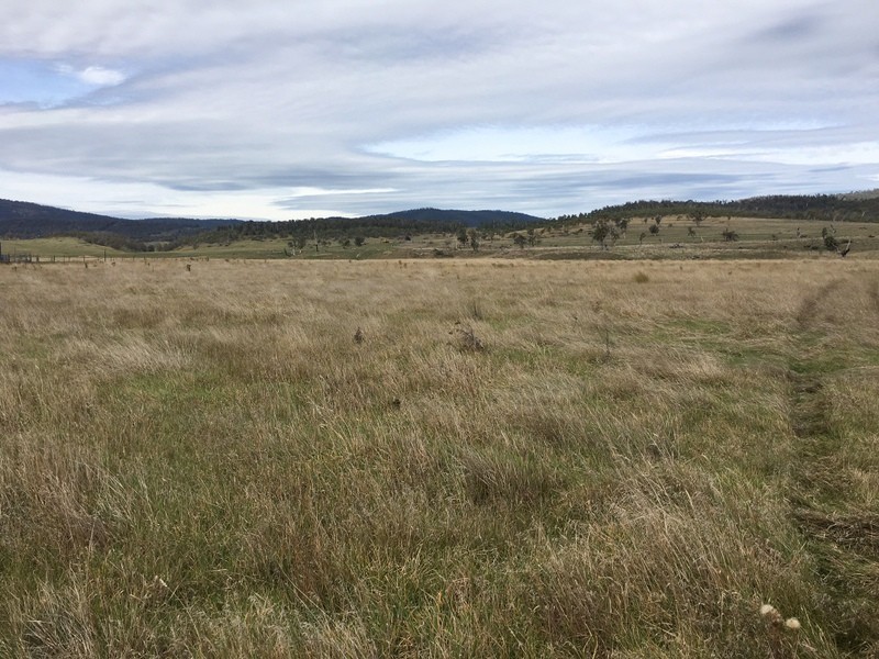 427 Heaneys Lane, Benambra VIC 3900