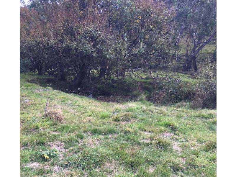 427 Heaneys Lane, Benambra VIC 3900