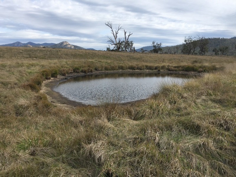 427 Heaneys Lane, Benambra VIC 3900