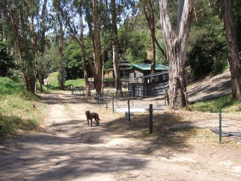 111 Cantrills Road, Metung VIC 3904