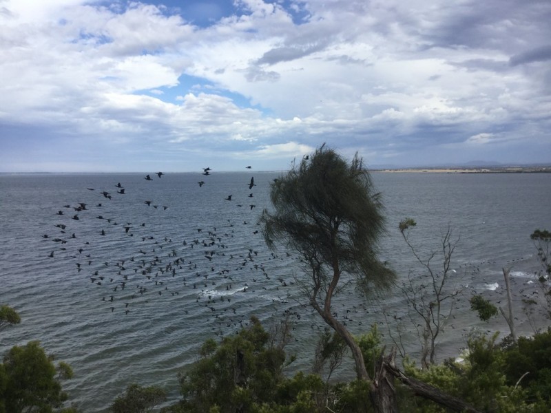 8 LANDS END GROVE, Metung VIC 3904